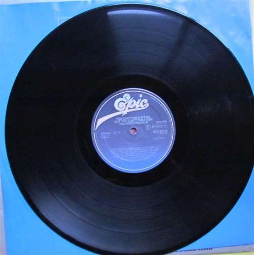 REO SPEEDWAGON -YOU CAN TUNE A PIANO BUT YOU CANT TUNE A FISH - VINTAGE VINYL LP