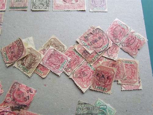 PRE UNION COLLECTION - ASSORTED CAPE & TRANSVAAL - 1 BID FOR ALL