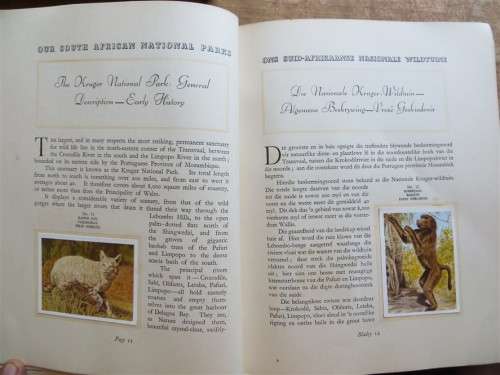 National Parks Cigarette Cards in Collectors Album 88/100