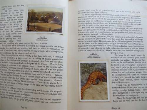 National Parks Cigarette Cards in Collectors Album 88/100