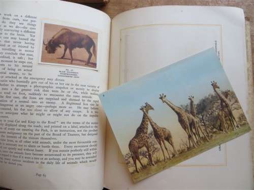 National Parks Cigarette Cards in Collectors Album 88/100