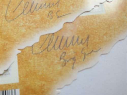 Signed - 11 Field South African Postal Unit - UMM Sheet - Bid per sheet