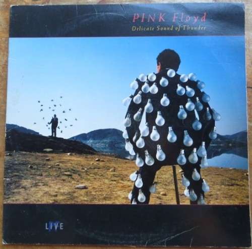 Pink Floyd - Delicate Sound of Thunder-Vintage Vinyl LP