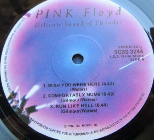Pink Floyd - Delicate Sound of Thunder-Vintage Vinyl LP