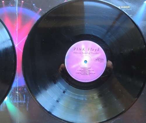 Pink Floyd - Delicate Sound of Thunder-Vintage Vinyl LP