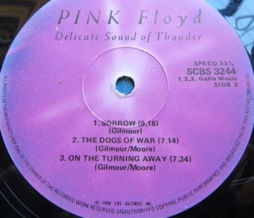 Pink Floyd - Delicate Sound of Thunder-Vintage Vinyl LP