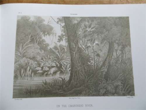 Album of Trinidad - 1857 Sketches - M.J Cazabon 2002 Reprint