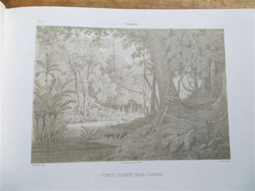 Album of Trinidad - 1857 Sketches - M.J Cazabon 2002 Reprint