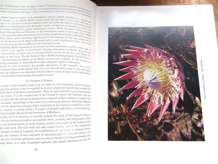 Joyful Errand Stokes, C.S - South African National Council for the Blind - 1959