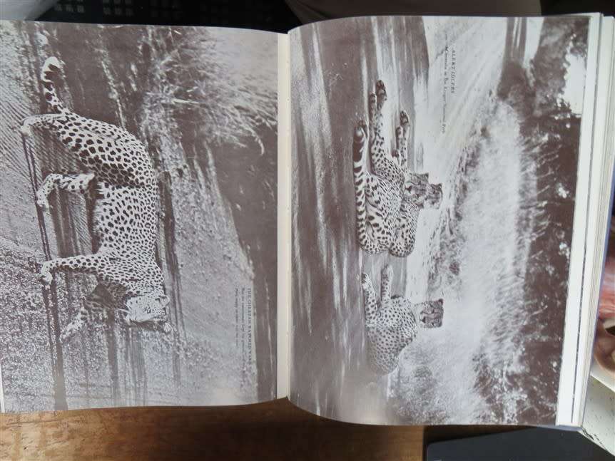 Joyful Errand Stokes, C.S - South African National Council for the Blind - 1959