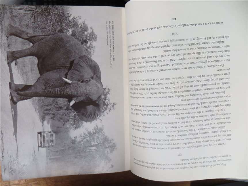 Joyful Errand Stokes, C.S - South African National Council for the Blind - 1959