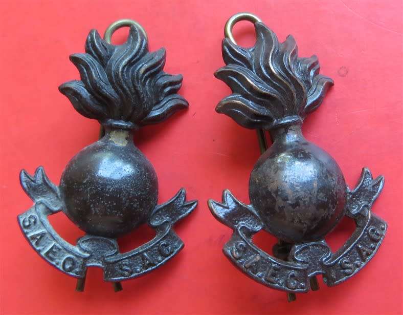 Pair SAEC badges