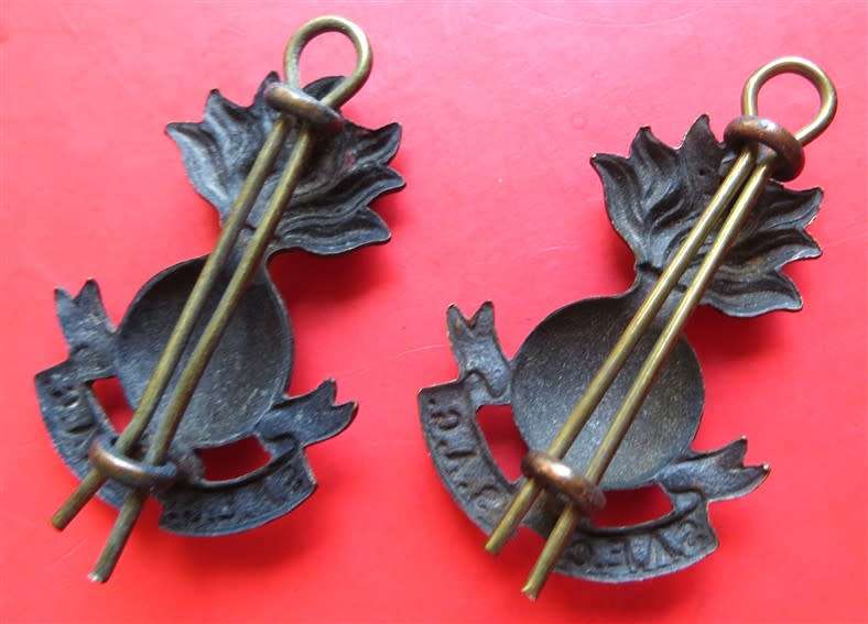 Pair SAEC badges
