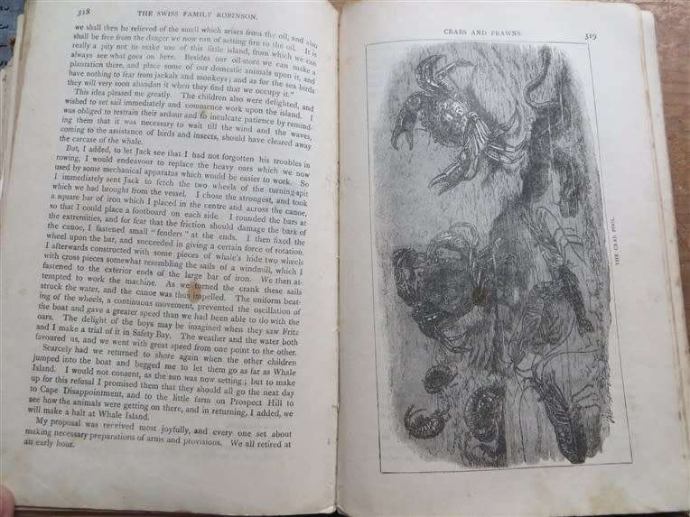 The Adventures of the Swiss Family Robinson - H.Frith - Illustrated