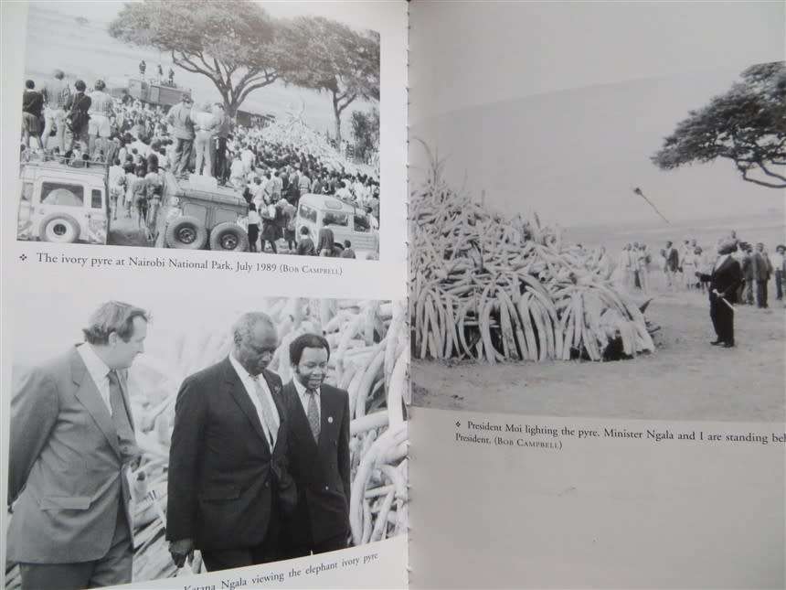 Wildlife Wars - Richard Leakey - Fight to Save Kenya`s Elephants