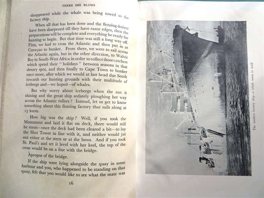 There She Blows! Hakon Mielche - 1952 1st Edition - Whalers