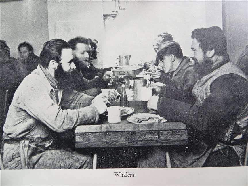 There She Blows! Hakon Mielche - 1952 1st Edition - Whalers