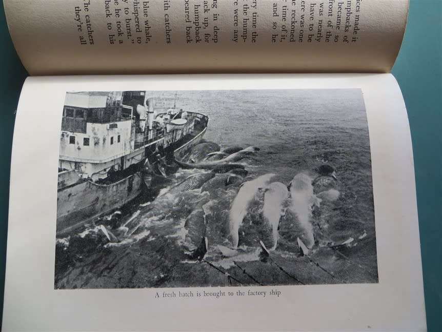 There She Blows! Hakon Mielche - 1952 1st Edition - Whalers