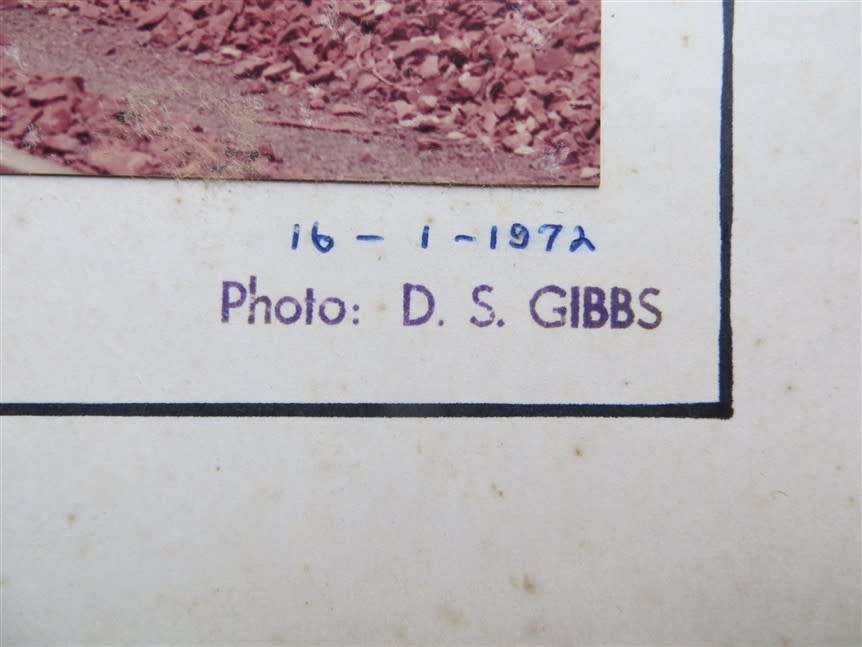 SAR/SAS Original Steam train photo 250mmx190mm - D.S Gibbs 1972 - Foxing present