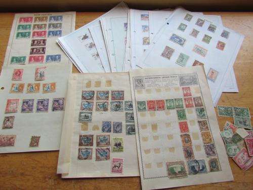 CLEARANCE LOT - ALBUM PAGES LOT -$$$ ALL FOR R1 START $$$