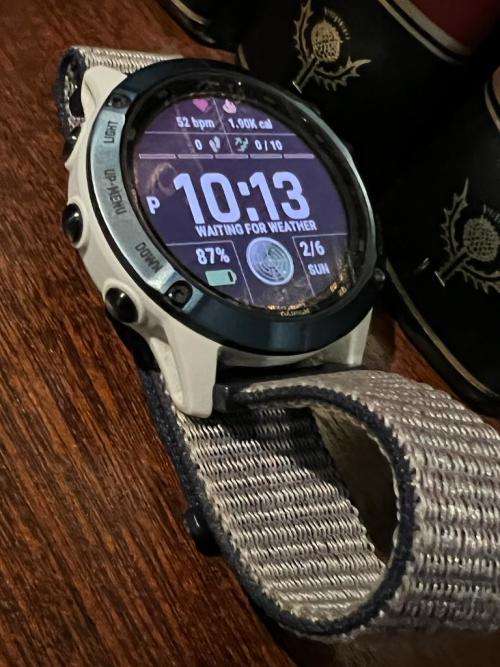 Garmin 6 Pro solar
