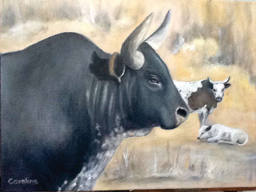 Nguni bull ,cow and calf