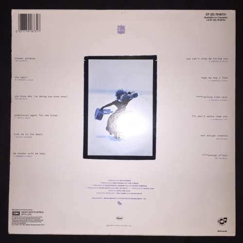 Tina Turner - Foreign Affair (LP) Vinyl Record (7th Album)