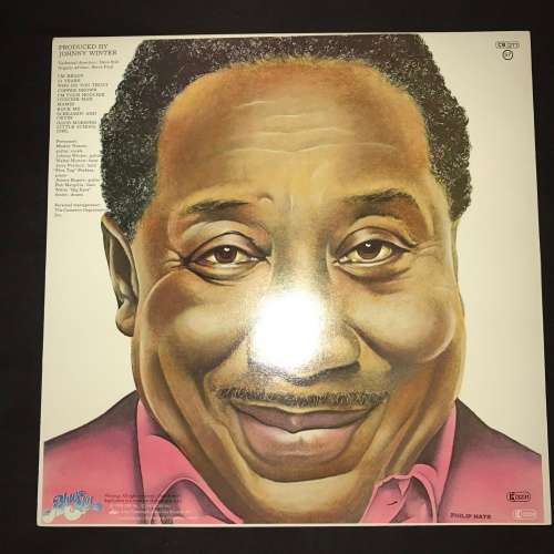 Muddy Waters - I'm Ready (LP) Vinyl Record (13th Album)
