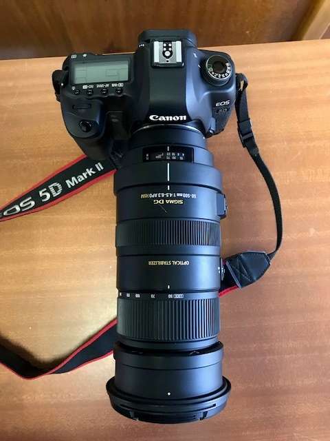 CANON 5D MARK II WITH SIGMA 50-500 LENS, BAG, EXTRA BATTERY AND SD CARDS
