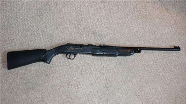 Grizzly bolt action air rifle