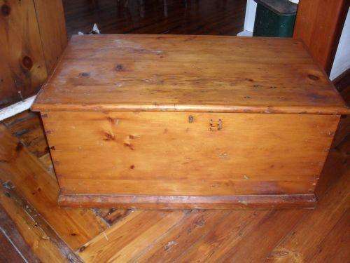 Beautiful Large Wakis.