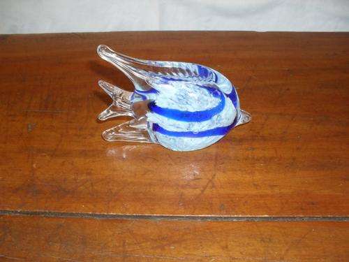 Marano Glass Fish.