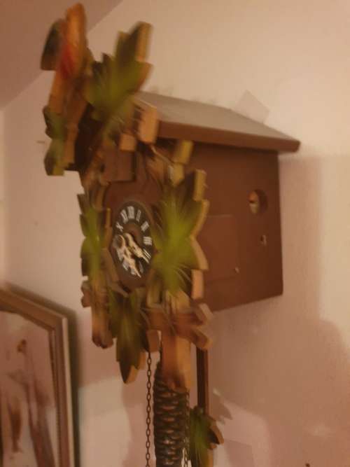 cuckoo clock small