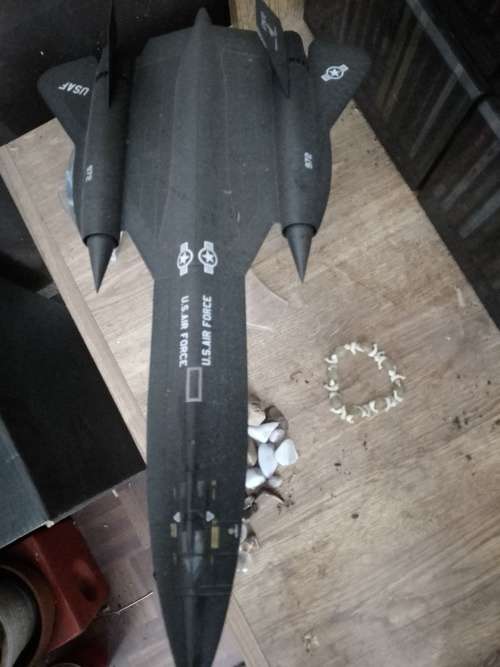 Die cast model plane large. Highly collectable