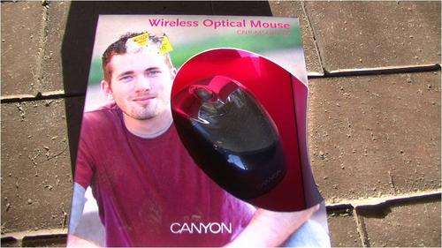 Wireless Optical Mouse