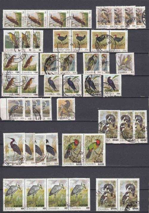 Zambia - Birds - Accumulation