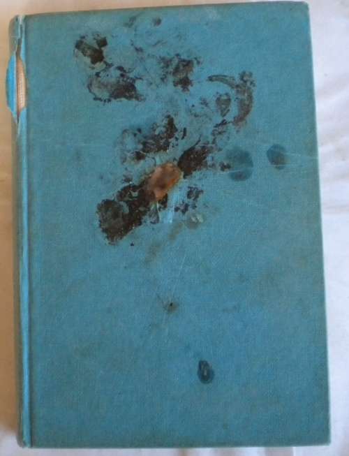 Aleiman, die slaaf deur Elmar Steyn