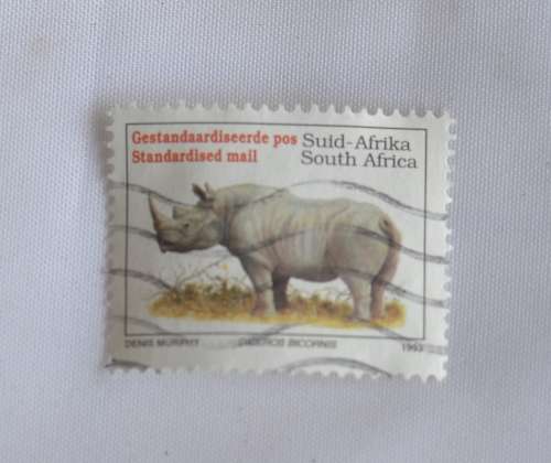 Rsa Rhino