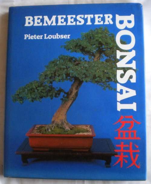 Bemeester bonsai deur Pieter Loubser