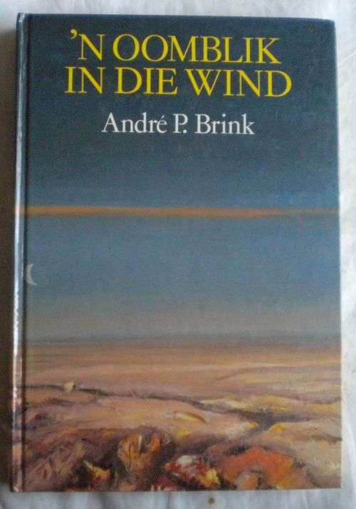 `n Oomblik in die wind deur Andre P Brink