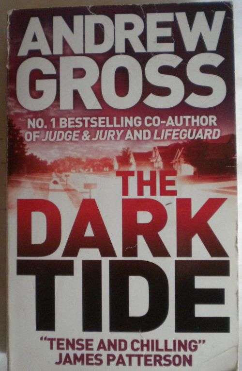 The dark tide by Andrew Gross