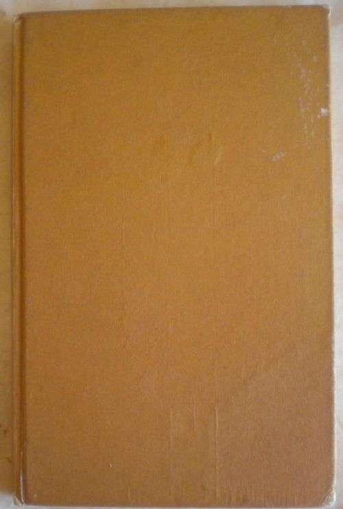 Die dubbelganger deur Christo van der Merwe