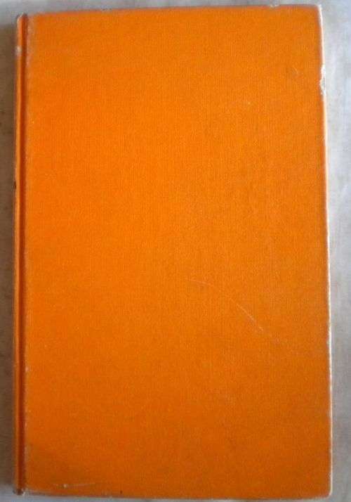 `n Enkel goue oomblik deur Nelmari Kock