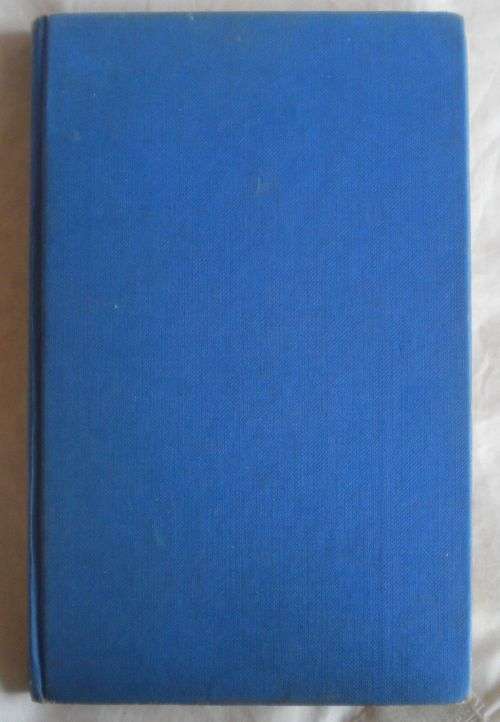 Madonna van Dennehof deur Annemarie J Pieterse