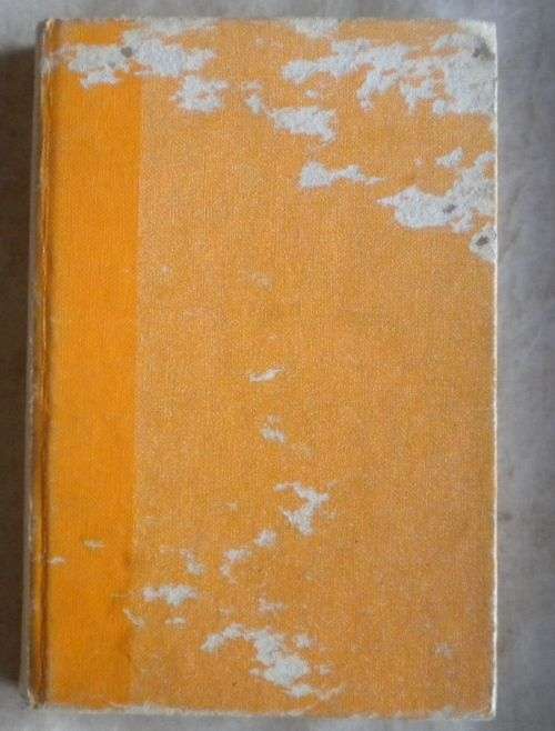 Altyd soos nou deur Ella van der Mescht