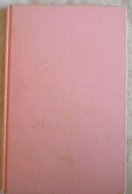 Vondeling sonder verlede deur Christo van der Merwe