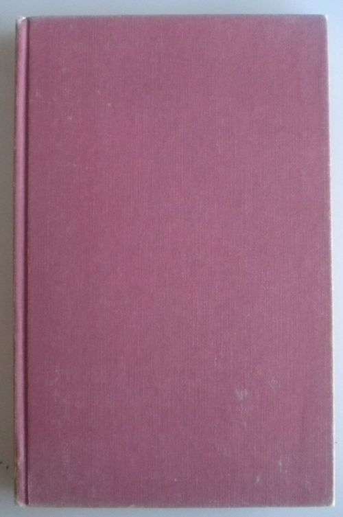 'n Huis vir Nadia deur Dalene Matthee