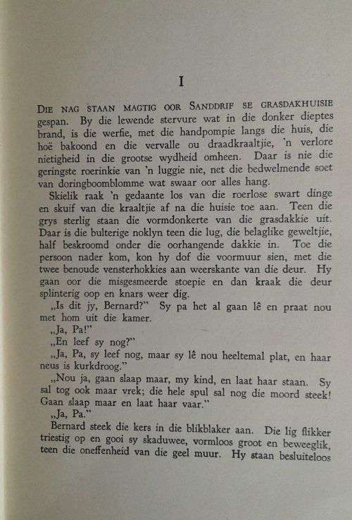 Ek is die skuldenaar deur Johan Theron