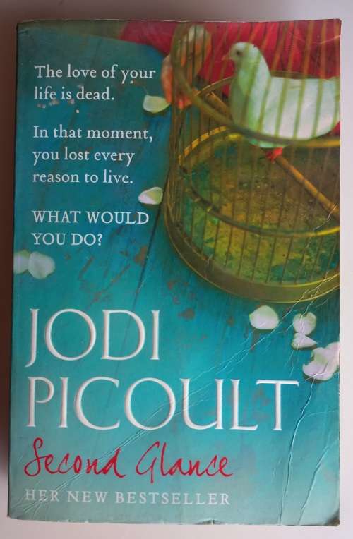 Second glance by Jodi Picoult