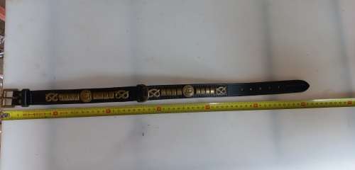 Staffordshire bull terrier show collar and lead (Imported from AE collars)